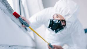 Best Pest Control for Multi-Family Homes  in Fort Lee, NJ